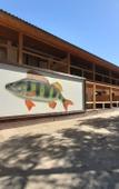 Туры в отель База отдыха Fish Sense Туры в отель База отдыха Fish Sense