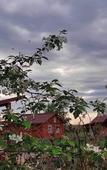 Туры в отель Русский двор Туры в отель Русский двор