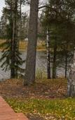 Туры в отель Villa Jarvi Туры в отель Villa Jarvi