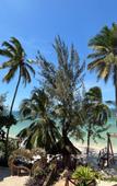 Туры в отель Zanzibella Hotel & SPA Туры в отель Zanzibella Hotel & SPA