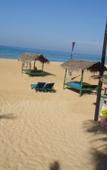 Туры в отель Whitepearl Beach Туры в отель Whitepearl Beach