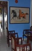 Туры в отель Whitepearl Beach Туры в отель Whitepearl Beach