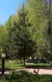 Туры в отель Green Vill Beach (Зеленоморск) Туры в отель Green Vill Beach (Зеленоморск)