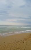 Туры в отель Green Vill Beach (Зеленоморск) Туры в отель Green Vill Beach (Зеленоморск)