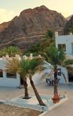 Туры в отель Wadi Alarbeieen Resort Туры в отель Wadi Alarbeieen Resort