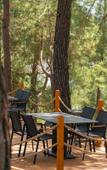 Туры в отель Olympos Health Resort (Kumluca) Туры в отель Olympos Health Resort (Kumluca)