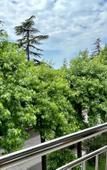 Туры в отель Гости Кавказа-Hotel Gagra (ул. Ардзинба) Туры в отель Гости Кавказа-Hotel Gagra (ул. Ардзинба)