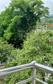 Туры в отель Гости Кавказа-Hotel Gagra (ул. Ардзинба) Туры в отель Гости Кавказа-Hotel Gagra (ул. Ардзинба)
