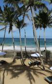 Туры в отель The Beach Hotel Oasis Bridge (Ambalangoda) Туры в отель The Beach Hotel Oasis Bridge (Ambalangoda)