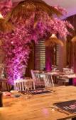 Туры в отель TUI BLUE Nam Hoi An Туры в отель TUI BLUE Nam Hoi An