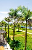 Туры в отель TUI BLUE Nam Hoi An Туры в отель TUI BLUE Nam Hoi An