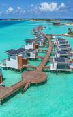 Туры в отель SO/ Maldives Туры в отель SO/ Maldives