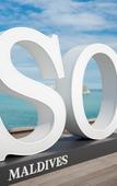 Туры в отель SO/ Maldives Туры в отель SO/ Maldives