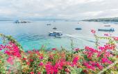 Туры в отель Sea La Vie Resort Nusa Penida Туры в отель Sea La Vie Resort Nusa Penida