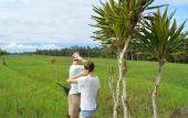 Туры в отель Korurua Dijiwa Ubud Туры в отель Korurua Dijiwa Ubud