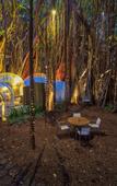 Туры в отель Bubble Lodge Ile aux Cerfs Туры в отель Bubble Lodge Ile aux Cerfs