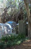 Туры в отель Bubble Lodge Ile aux Cerfs Туры в отель Bubble Lodge Ile aux Cerfs