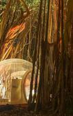 Туры в отель Bubble Lodge Ile aux Cerfs Туры в отель Bubble Lodge Ile aux Cerfs