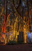 Туры в отель Bubble Lodge Ile aux Cerfs Туры в отель Bubble Lodge Ile aux Cerfs