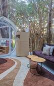 Туры в отель Bubble Lodge Ile aux Cerfs Туры в отель Bubble Lodge Ile aux Cerfs