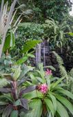 Туры в отель Samed Tropical Resort Туры в отель Samed Tropical Resort