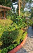 Туры в отель Samed Tropical Resort Туры в отель Samed Tropical Resort