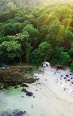 Туры в отель Samed Tropical Resort Туры в отель Samed Tropical Resort