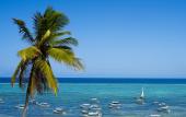 Туры в отель Alladin Beach Hotel & SPA Zanzibar Туры в отель Alladin Beach Hotel & SPA Zanzibar
