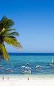 Туры в отель Alladin Beach Hotel & SPA Zanzibar Туры в отель Alladin Beach Hotel & SPA Zanzibar