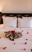 Туры в отель Alladin Beach Hotel & SPA Zanzibar Туры в отель Alladin Beach Hotel & SPA Zanzibar