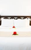 Туры в отель Alladin Beach Hotel & SPA Zanzibar Туры в отель Alladin Beach Hotel & SPA Zanzibar
