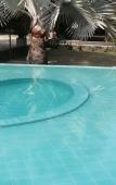 Туры в отель Bellevue Beach Resorts Туры в отель Bellevue Beach Resorts