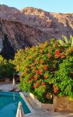 Туры в отель Ma’In Hot Springs Resort & Spa Туры в отель Ma’In Hot Springs Resort & Spa