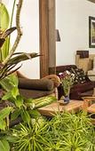 Туры в отель Kejora Suites Туры в отель Kejora Suites