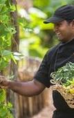 Туры в отель Uga Ulagalla Туры в отель Uga Ulagalla