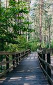 Туры в отель Pine River Туры в отель Pine River