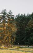 Туры в отель Pine River Туры в отель Pine River