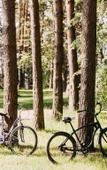 Туры в отель Pine River Туры в отель Pine River