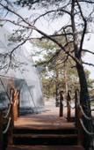 Туры в отель Lago Ladoga Глэмпинг Туры в отель Lago Ladoga Глэмпинг