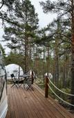 Туры в отель Lago Ladoga Глэмпинг Туры в отель Lago Ladoga Глэмпинг