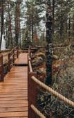 Туры в отель Lago Ladoga Глэмпинг Туры в отель Lago Ladoga Глэмпинг