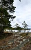 Туры в отель Lago Ladoga Глэмпинг Туры в отель Lago Ladoga Глэмпинг