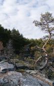 Туры в отель Lago Ladoga Глэмпинг Туры в отель Lago Ladoga Глэмпинг