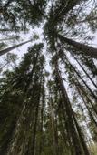 Туры в отель Lago Ladoga Глэмпинг Туры в отель Lago Ladoga Глэмпинг