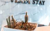 Туры в отель Vladi Stay Туры в отель Vladi Stay