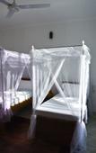 Туры в отель Bella Vista Resort Zanzibar Туры в отель Bella Vista Resort Zanzibar