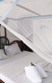Туры в отель Bella Vista Resort Zanzibar Туры в отель Bella Vista Resort Zanzibar