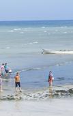 Туры в отель Bella Vista Resort Zanzibar Туры в отель Bella Vista Resort Zanzibar