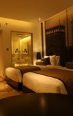 Туры в отель Pride Plaza Hotel Aerocity New Delhi Туры в отель Pride Plaza Hotel Aerocity New Delhi
