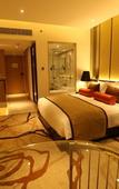 Туры в отель Pride Plaza Hotel Aerocity New Delhi Туры в отель Pride Plaza Hotel Aerocity New Delhi